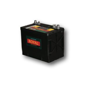 Royal DC24 Battery
