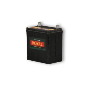 Royal NS40 Battery